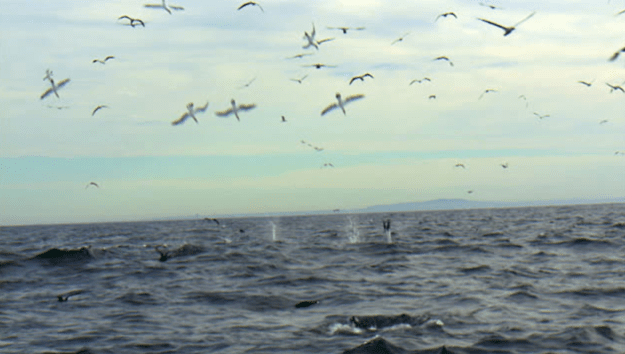 Screen Shot 2017-03-18 at 17.23.07