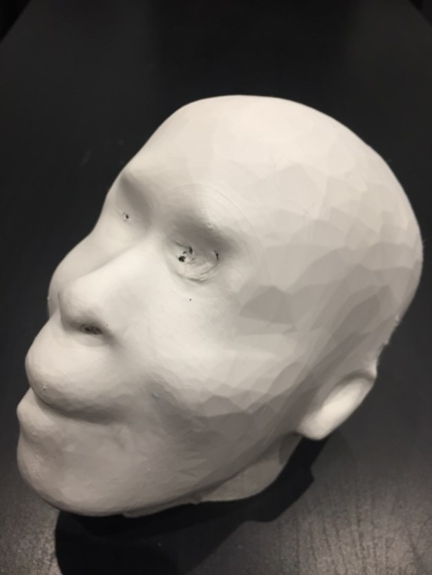 Leo head ultimaker
