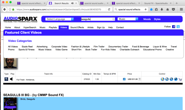 Seagulls sound clip from AudioSparx